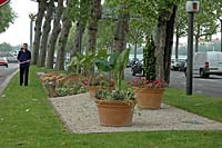 Огромные горшки с цветами на Quai du Docteur Gailleton
