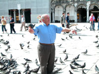 голуби на Piazza S.Marco