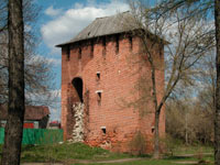 Одна из сохранившихся башен