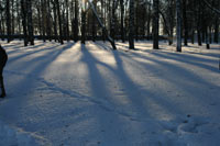 Зима в Ярославле