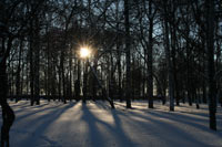Зима в Ярославле